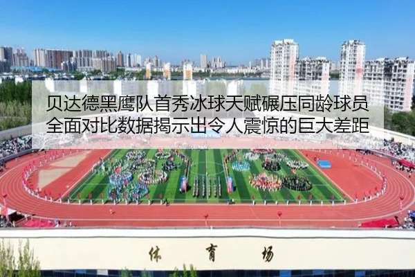 bei-da-de-hei-ying-dui-shou-xiu-bing-qiu-tian-fu-nian-ya-tong-ling-qiu-yuan-quan-mian-dui-bi-shu-ju-jie-shi-chu-ling-2-155.jpg