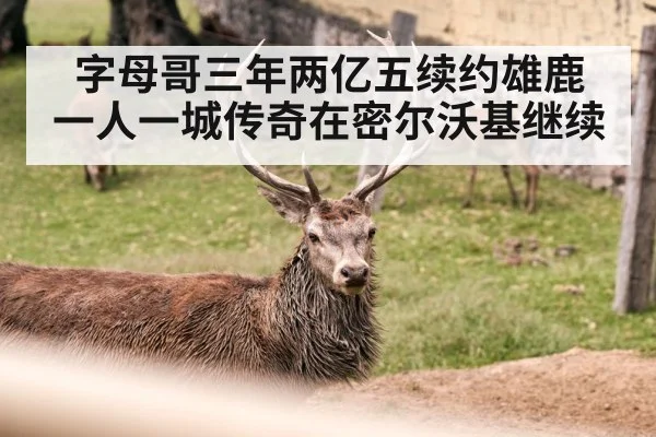 字母哥三年两亿五续约雄鹿 一人一城传奇在密尔沃基继续